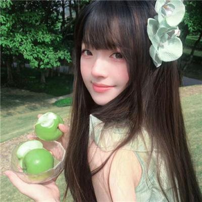 终结杉计划