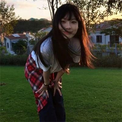 粉红火鹤的神秘凝视